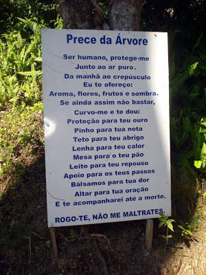 prece da arvore