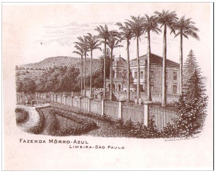 morro azul 1 bb689
