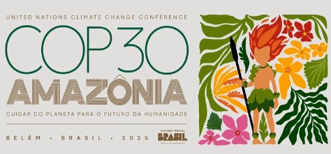 As lições para o mundo sobre a Amazônia durante a COP 30