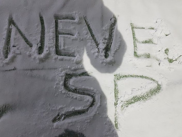 Neve SP dbc11