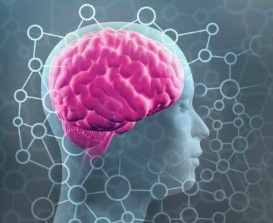 foto cerebro dea5f