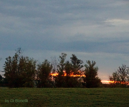 fim de tarde 1 0b615