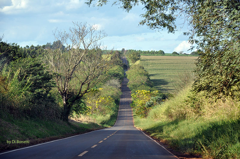 caminhos 27fac