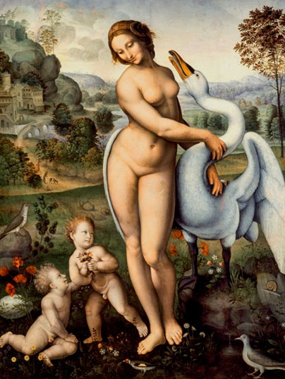 leda 1aef2
