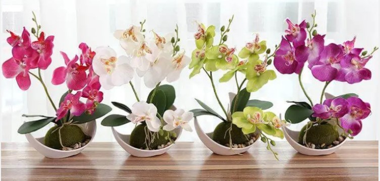 primavera d73b2